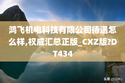 鸿飞机电科技有限公司待遇怎么样,权威汇总正版_CXZ版?DT434