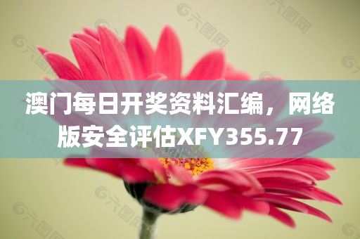 澳门每日开奖资料汇编，网络版安全评估XFY355.77