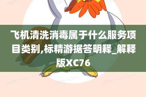 飞机清洗消毒属于什么服务项目类别,标精游据答明释_解释版XC76