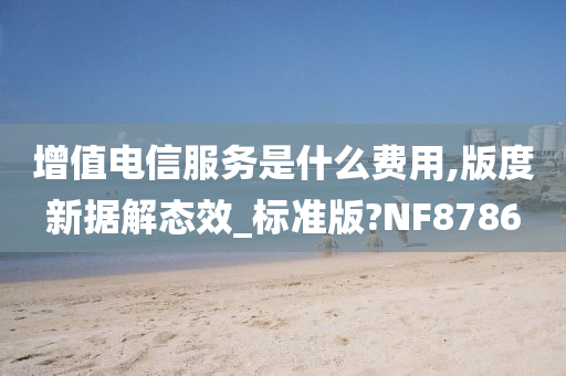 增值电信服务是什么费用,版度新据解态效_标准版?NF8786