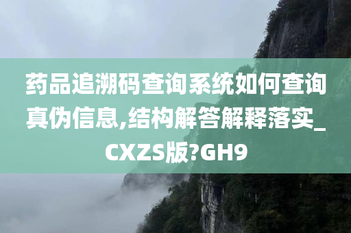 药品追溯码查询系统如何查询真伪信息,结构解答解释落实_CXZS版?GH9