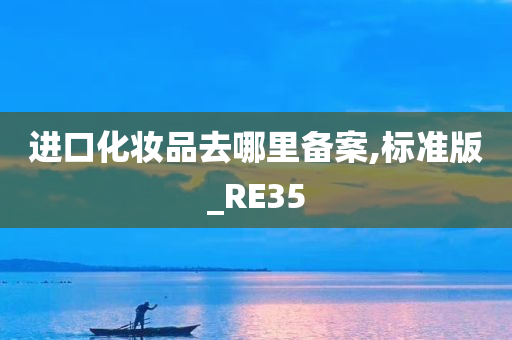 进口化妆品去哪里备案,标准版_RE35