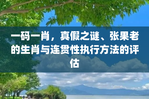 一码一肖，真假之谜、张果老的生肖与连贯性执行方法的评估