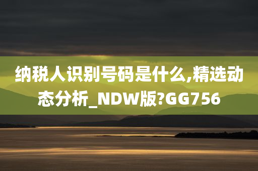 纳税人识别号码是什么,精选动态分析_NDW版?GG756