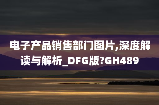 电子产品销售部门图片,深度解读与解析_DFG版?GH489