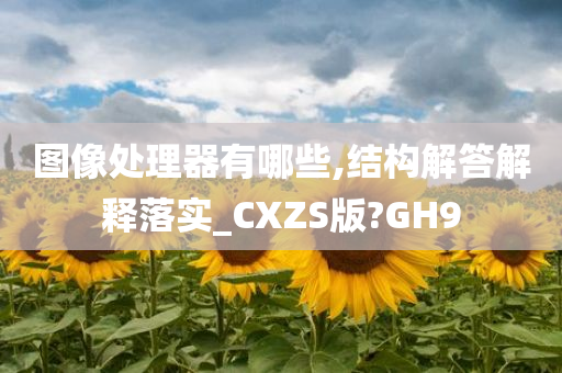 图像处理器有哪些,结构解答解释落实_CXZS版?GH9