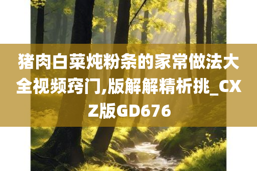 猪肉白菜炖粉条的家常做法大全视频窍门,版解解精析挑_CXZ版GD676