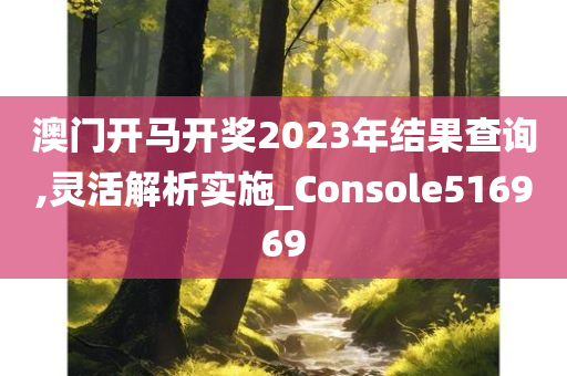 澳门开马开奖2023年结果查询,灵活解析实施_Console516969