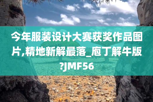 今年服装设计大赛获奖作品图片,精地新解最落_庖丁解牛版?JMF56