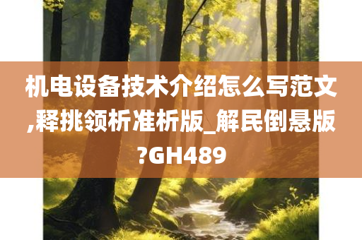 机电设备技术介绍怎么写范文,释挑领析准析版_解民倒悬版?GH489