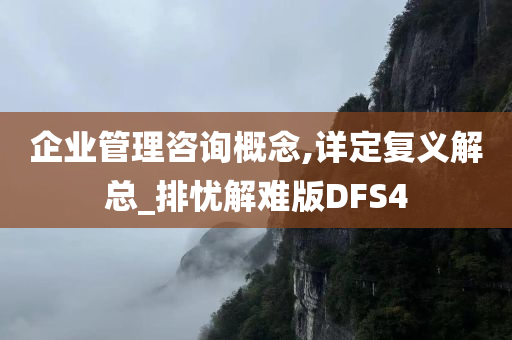 企业管理咨询概念,详定复义解总_排忧解难版DFS4