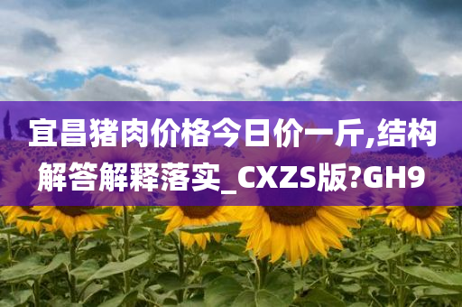 宜昌猪肉价格今日价一斤,结构解答解释落实_CXZS版?GH9