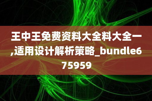 王中王免费资料大全料大全一,适用设计解析策略_bundle675959