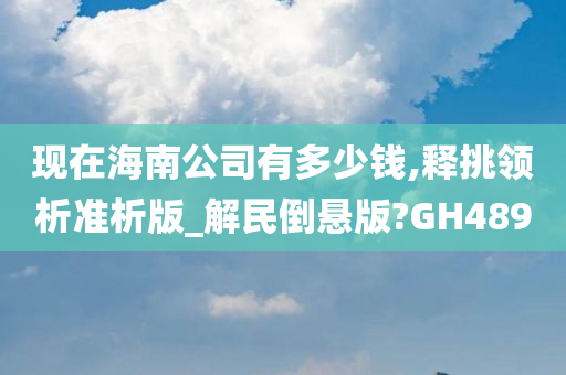 现在海南公司有多少钱,释挑领析准析版_解民倒悬版?GH489