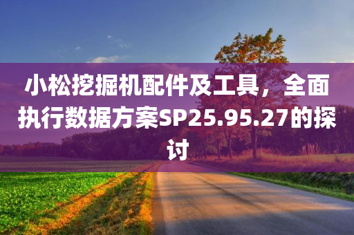 小松挖掘机配件及工具，全面执行数据方案SP25.95.27的探讨