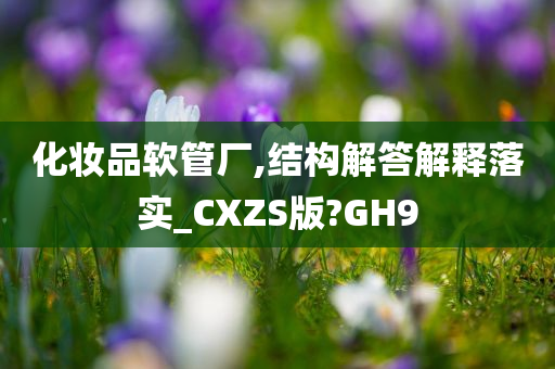 化妆品软管厂,结构解答解释落实_CXZS版?GH9