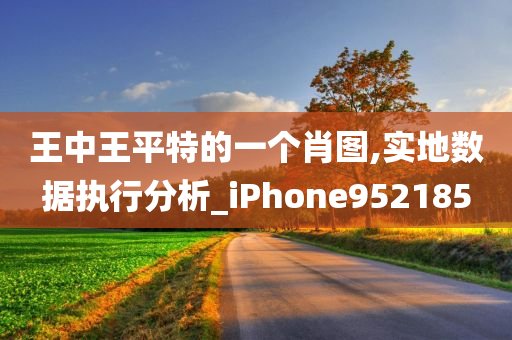 王中王平特的一个肖图,实地数据执行分析_iPhone952185