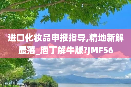 进口化妆品申报指导,精地新解最落_庖丁解牛版?JMF56