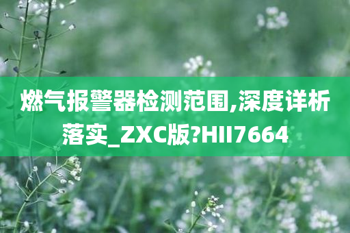 燃气报警器检测范围,深度详析落实_ZXC版?HII7664