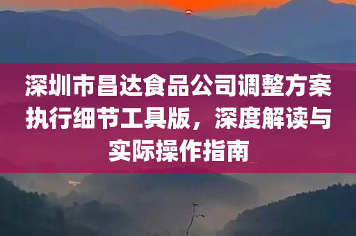 深圳市昌达食品公司调整方案执行细节工具版，深度解读与实际操作指南