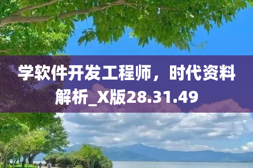 学软件开发工程师，时代资料解析_X版28.31.49