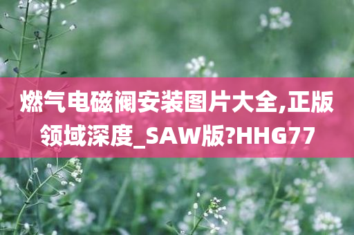 燃气电磁阀安装图片大全,正版领域深度_SAW版?HHG77