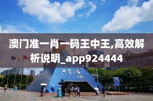 澳门准一肖一码王中王,高效解析说明_app924444