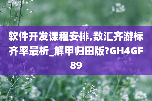 软件开发课程安排,数汇齐游标齐率最析_解甲归田版?GH4GF89