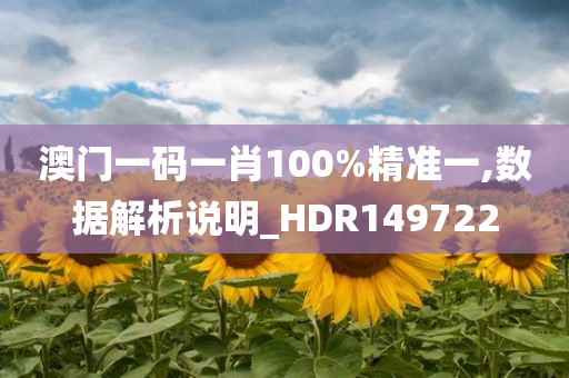 澳门一码一肖100%精准一,数据解析说明_HDR149722