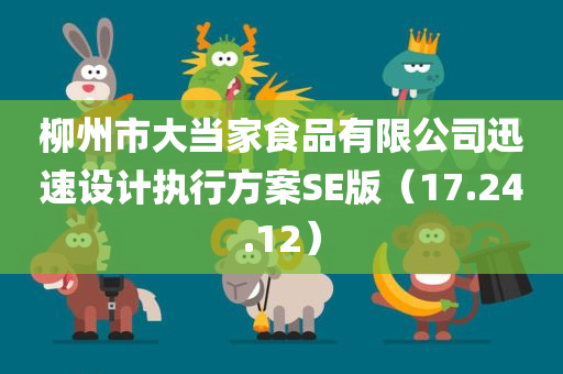 柳州市大当家食品有限公司迅速设计执行方案SE版（17.24.12）