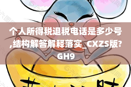 个人所得税退税电话是多少号,结构解答解释落实_CXZS版?GH9