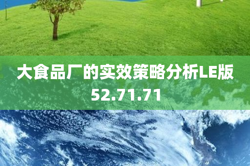 大食品厂的实效策略分析LE版52.71.71