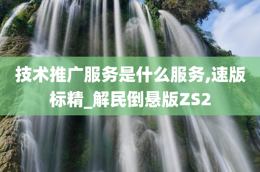 技术推广服务是什么服务,速版标精_解民倒悬版ZS2