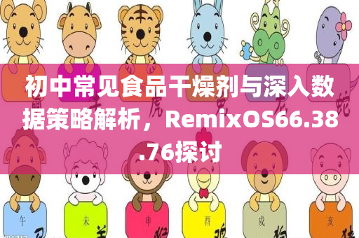 初中常见食品干燥剂与深入数据策略解析，RemixOS66.38.76探讨