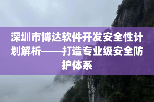 深圳市博达软件开发安全性计划解析——打造专业级安全防护体系