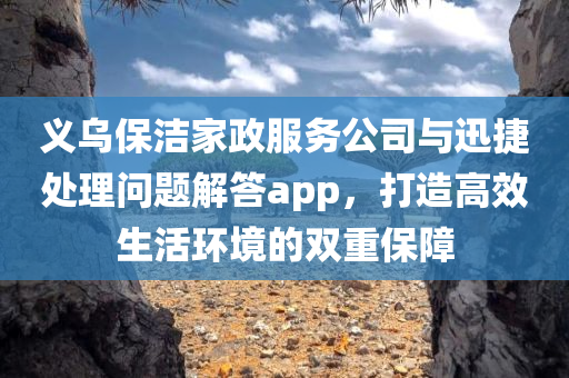 义乌保洁家政服务公司与迅捷处理问题解答app，打造高效生活环境的双重保障