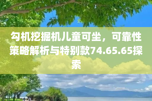 勾机挖掘机儿童可坐，可靠性策略解析与特别款74.65.65探索