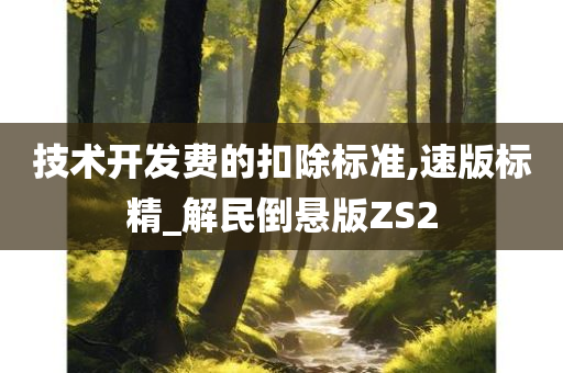 技术开发费的扣除标准,速版标精_解民倒悬版ZS2