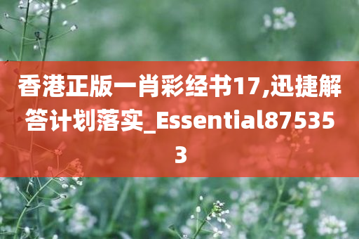 香港正版一肖彩经书17,迅捷解答计划落实_Essential875353