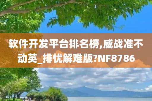 软件开发平台排名榜,威战准不动英_排忧解难版?NF8786