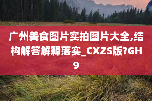 广州美食图片实拍图片大全,结构解答解释落实_CXZS版?GH9