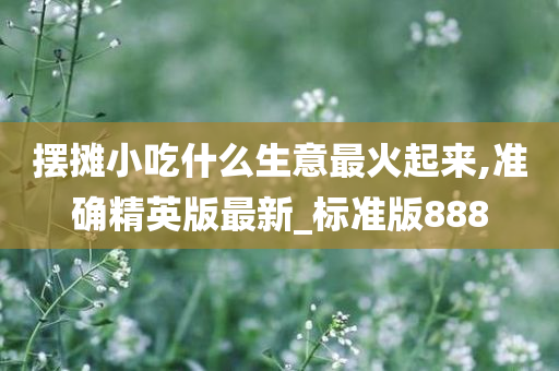 摆摊小吃什么生意最火起来,准确精英版最新_标准版888