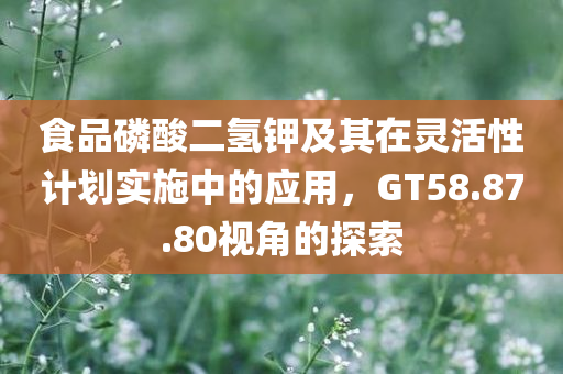 食品磷酸二氢钾及其在灵活性计划实施中的应用，GT58.87.80视角的探索