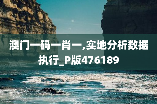 澳门一码一肖一,实地分析数据执行_P版476189