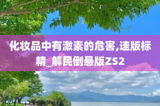 化妆品中有激素的危害,速版标精_解民倒悬版ZS2