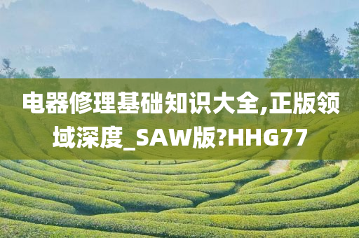 电器修理基础知识大全,正版领域深度_SAW版?HHG77