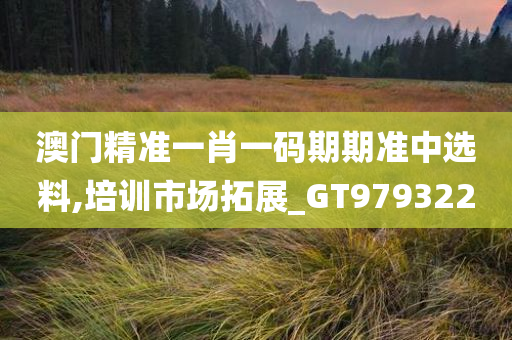 澳门精准一肖一码期期准中选料,培训市场拓展_GT979322