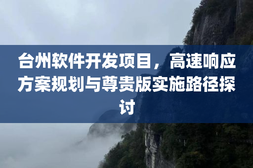 台州软件开发项目，高速响应方案规划与尊贵版实施路径探讨