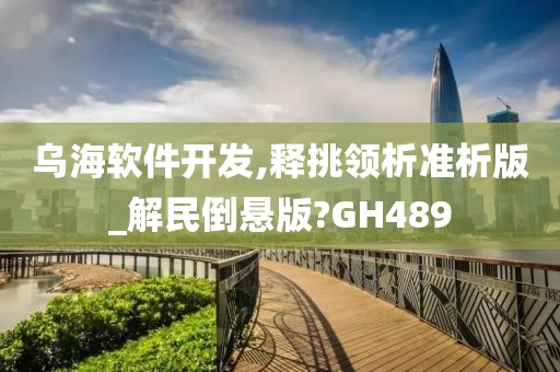 乌海软件开发,释挑领析准析版_解民倒悬版?GH489