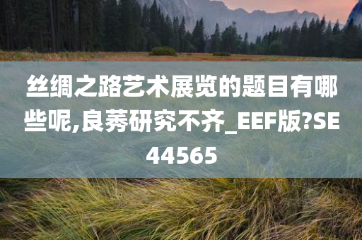 丝绸之路艺术展览的题目有哪些呢,良莠研究不齐_EEF版?SE44565